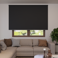 Jaloustore Verdunkelungsrollo auf Maß in matter Leinwand-Optik, Rückseite farbig angepasst Anthrazit - Vorschau 0