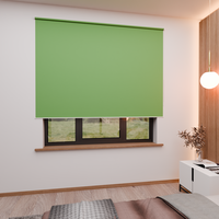 Jaloustore Verdunkelungsrollo mit feiner Struktur, Rückseite farblich angepasst Grün - Vorschau 1