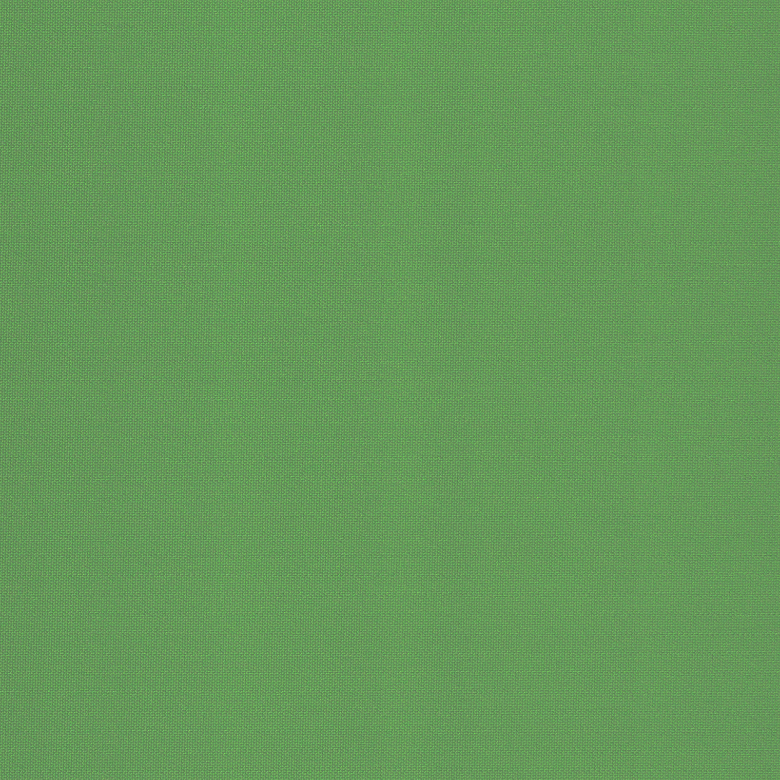 Jaloustore Verdunkelungsrollo mit feiner Struktur, Rückseite farblich angepasst Grün - Bild 3