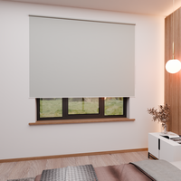 Jaloustore Verdunkelungsrollo mit feiner Struktur, leicht glänzend, Rückseite silber Beige - Vorschau 1