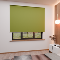 Jaloustore Verdunkelungsrollo mit feiner Struktur, leicht glänzend, Rückseite silber Grün - Vorschau 2