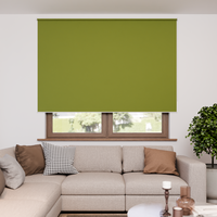 Jaloustore Verdunkelungsrollo mit feiner Struktur, leicht glänzend, Rückseite silber Grün - Vorschau 1