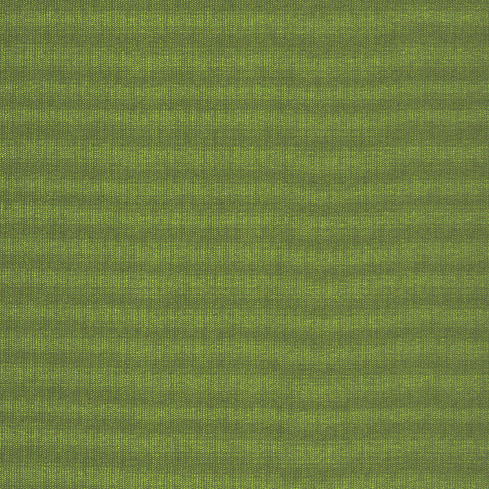 Jaloustore Verdunkelungsrollo mit feiner Struktur, leicht glänzend, Rückseite silber Grün - Bild 3