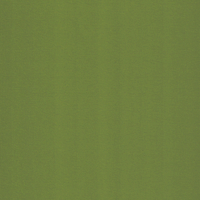 Jaloustore Verdunkelungsrollo mit feiner Struktur, leicht glänzend, Rückseite silber Grün - Vorschau 3