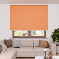 Jaloustore Verdunkelungsrollo mit feiner Struktur, leicht glänzend, Rückseite silber Orange - Vorschau 2