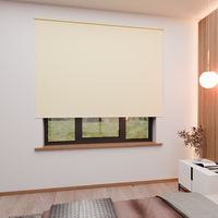 Jaloustore Verdunkelungsrollo mit feiner Struktur, leicht glänzend, Rückseite silber Creme-Beige - Vorschau 4