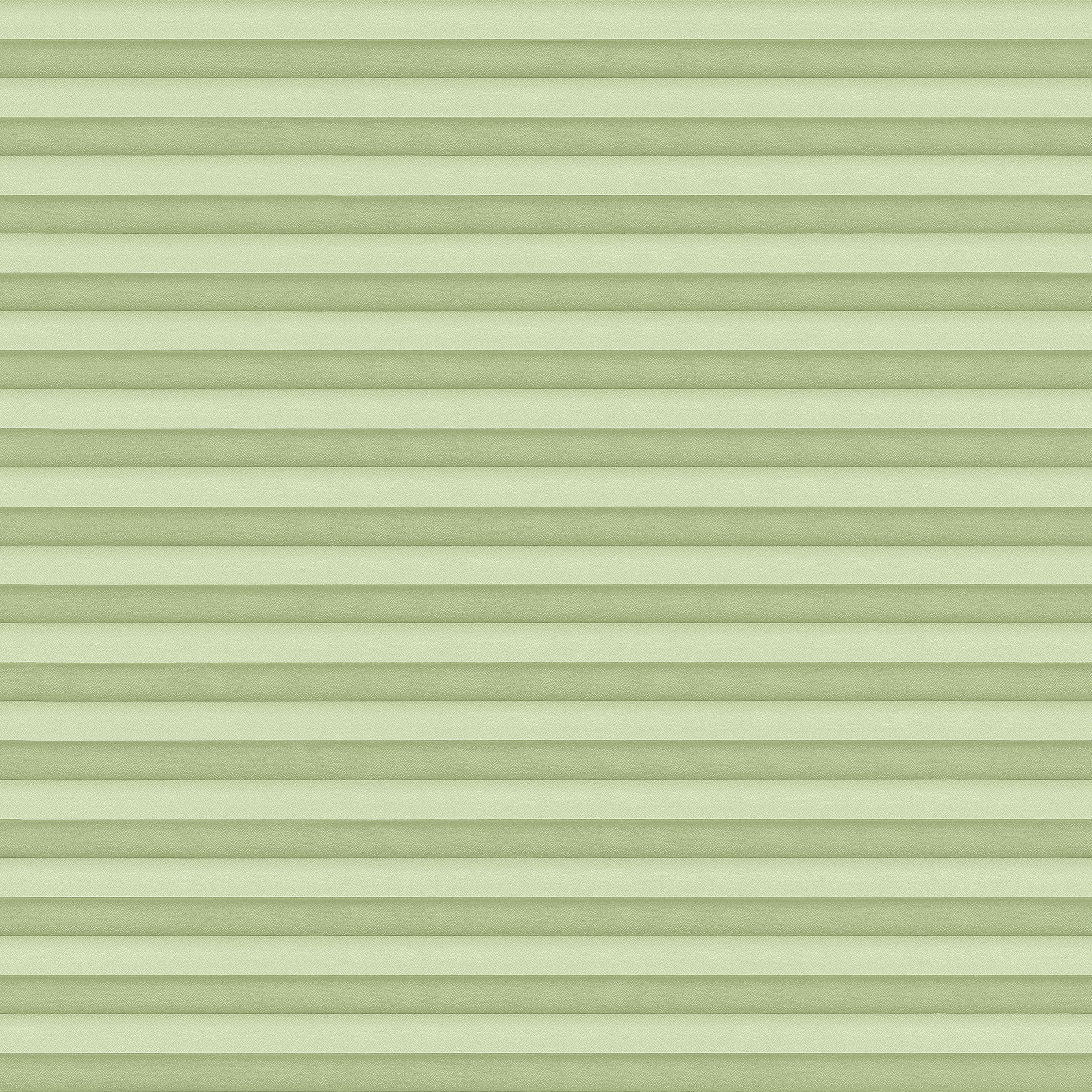 Jaloustore COSIFLOR® Plissee Riva Hellgrün - Bild 2