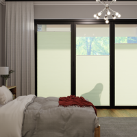 Jaloustore COSIFLOR® Plissee Firenze Pastellgrün - Vorschau 0